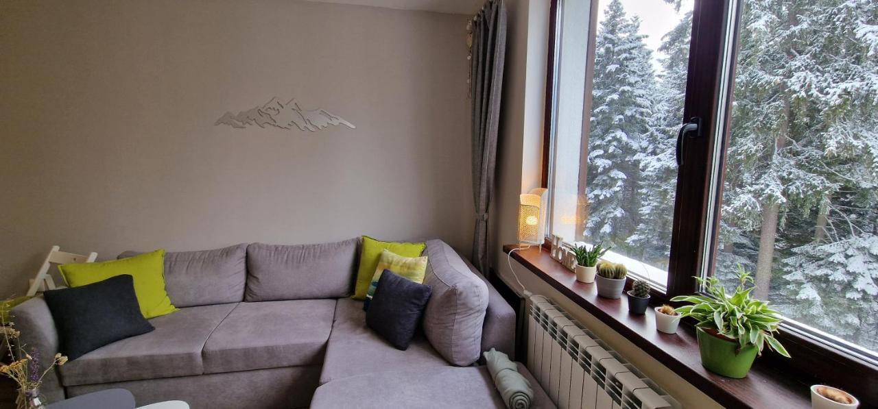 Pine Tree Apartment / Borovets Gardens Dış mekan fotoğraf